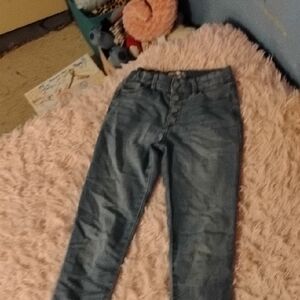 Jordache Blue Straight-Leg Jeans Classic Denim
